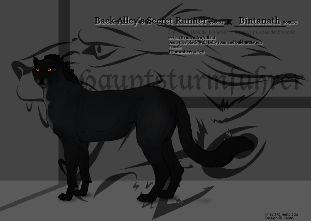 Shadow Hunter De Luna 10678