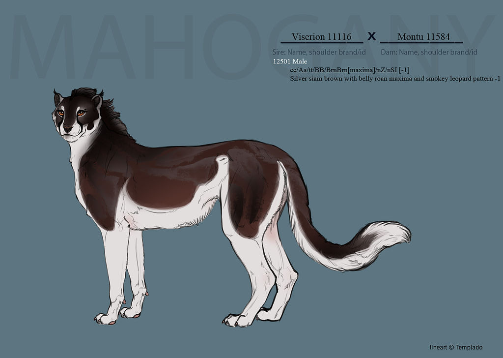 Volantis 12501 by SheduMaster on DeviantArt