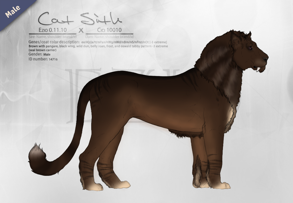Cat Sith 14716 by SheduMaster on DeviantArt