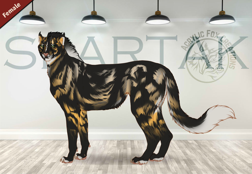 RotDs Mocha Decaf 15649 by SheduMaster on DeviantArt