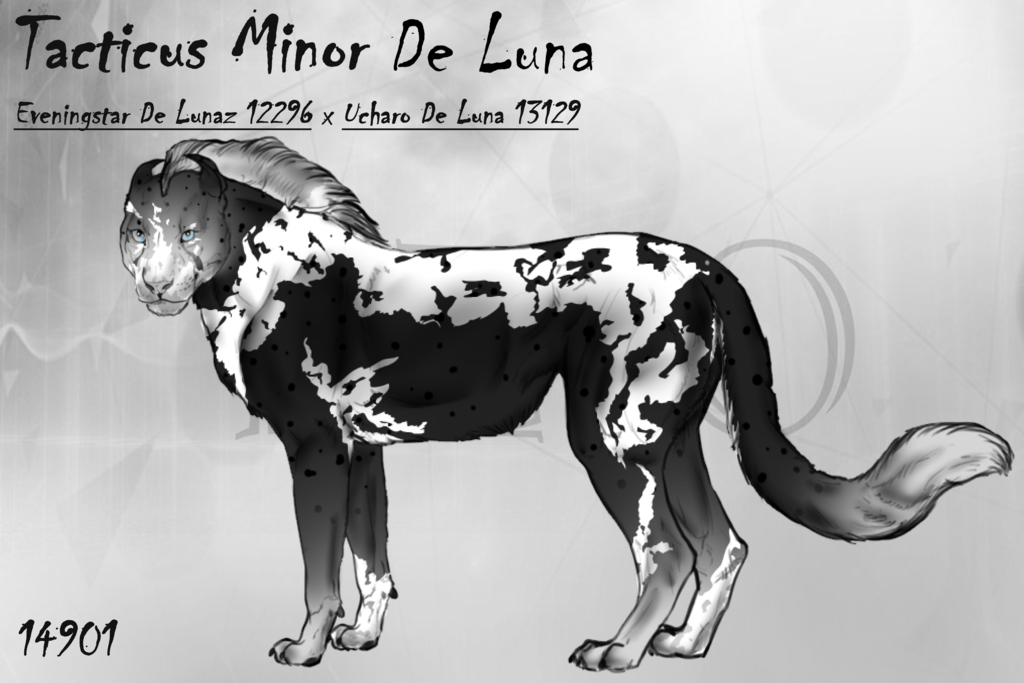 Tacticus Minor De Luna 14901