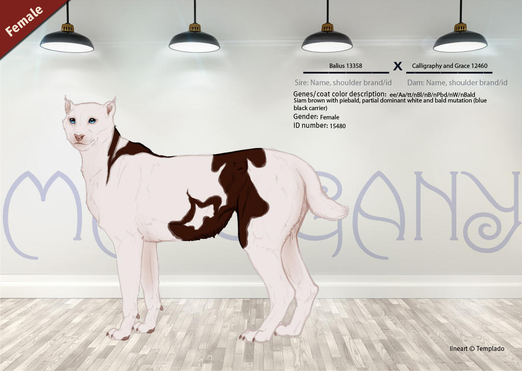 Leukothea 15480 by SheduMaster on DeviantArt