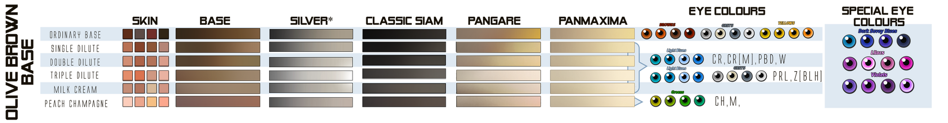 Olive brown base - Colour swatches by SheduMaster on DeviantArt
