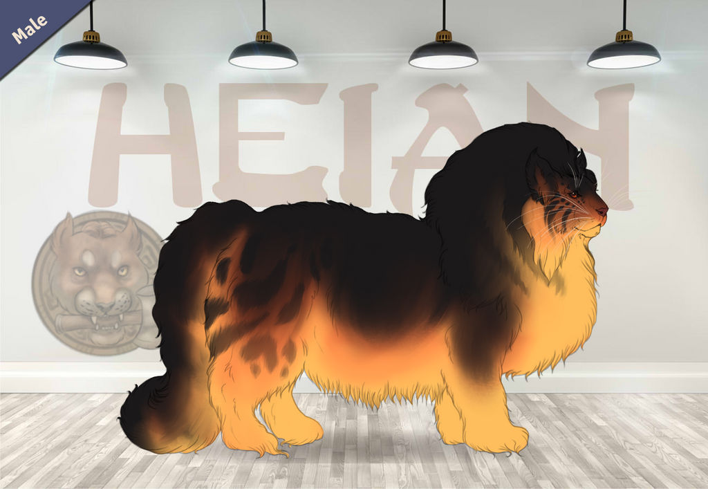 Wowhead Runebear WBS Runebear 28631 by SheduMaster on DeviantArt