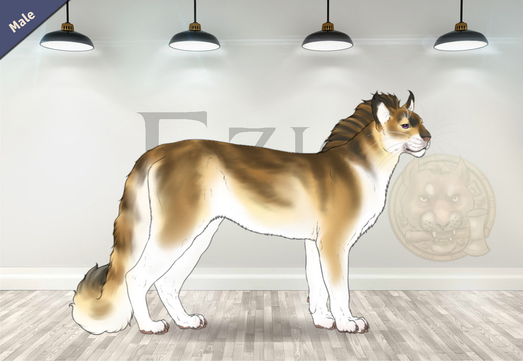 Yasendle De Luna 34324 by SheduMaster on DeviantArt