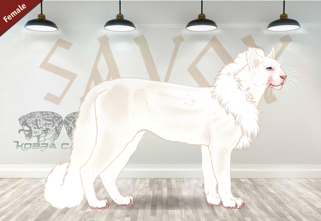 KC Rootbeer Float 35908 by SheduMaster on DeviantArt