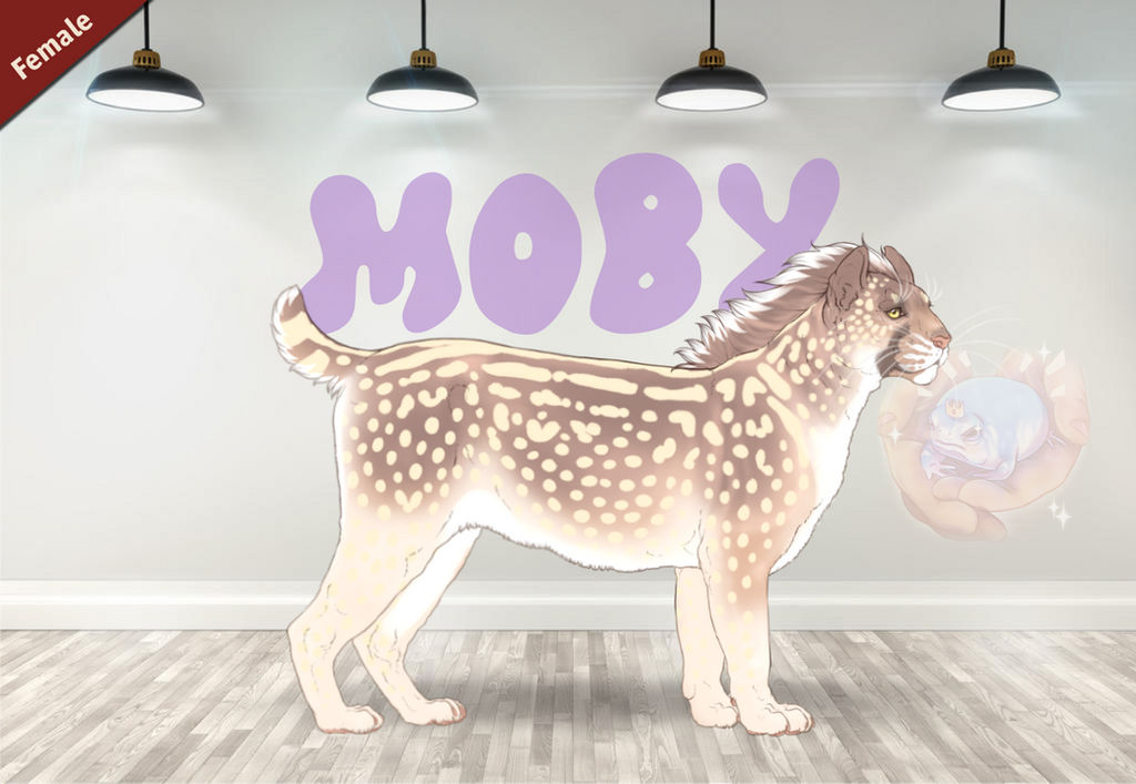 Deviantart Fallow Moby's Fallow 38877 by SheduMaster on DeviantArt