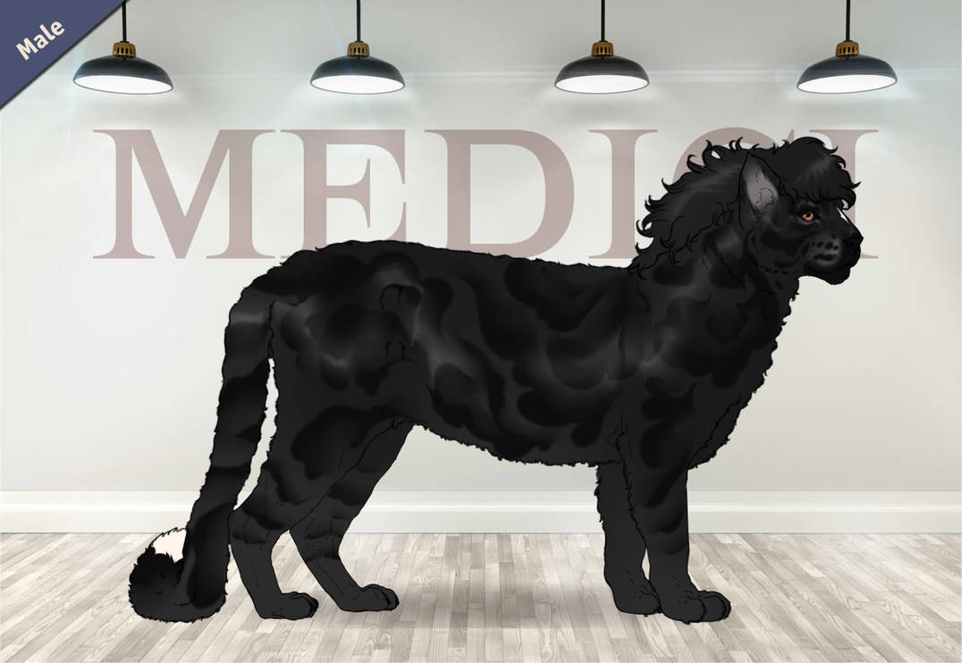 Vanta 44274 by SheduMaster on DeviantArt