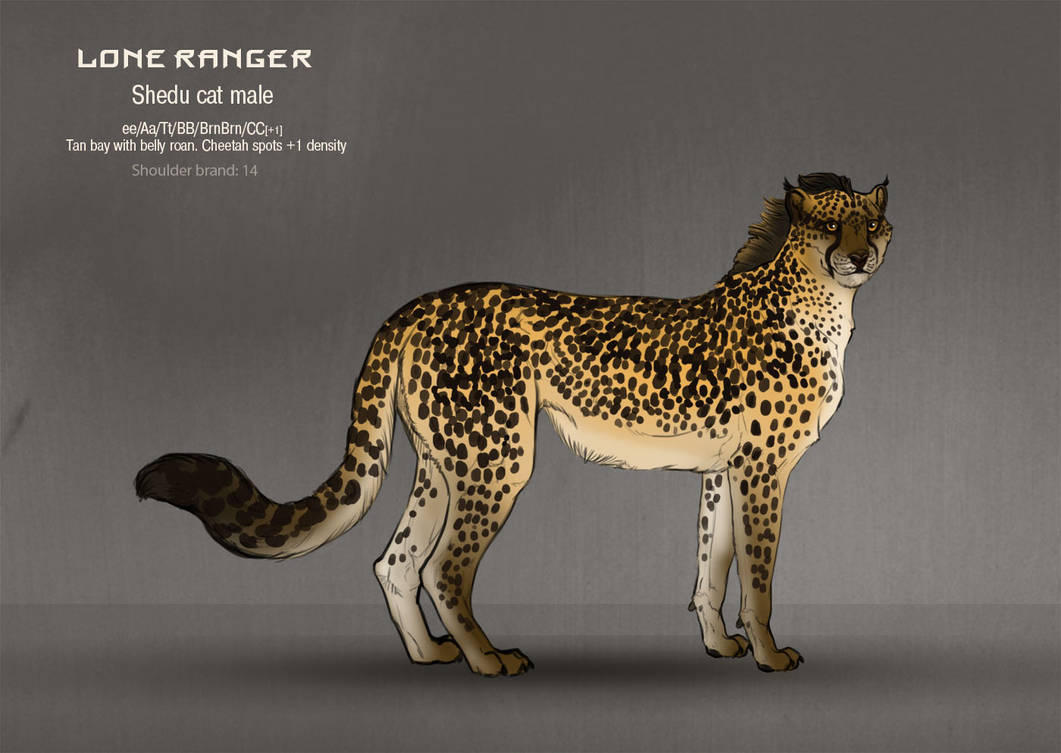 Lone Ranger 14 by SheduMaster on DeviantArt