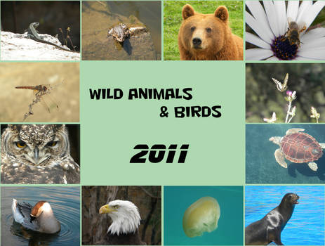 Calendar 2011 Frontpage