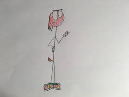 Knuckles the Echidna the Fighter