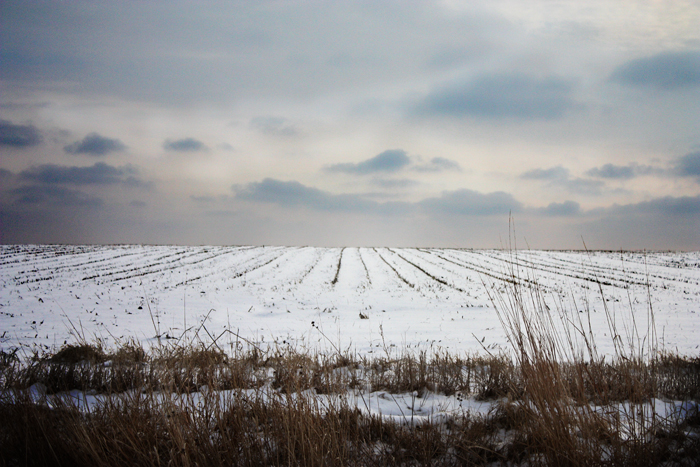 SnowField