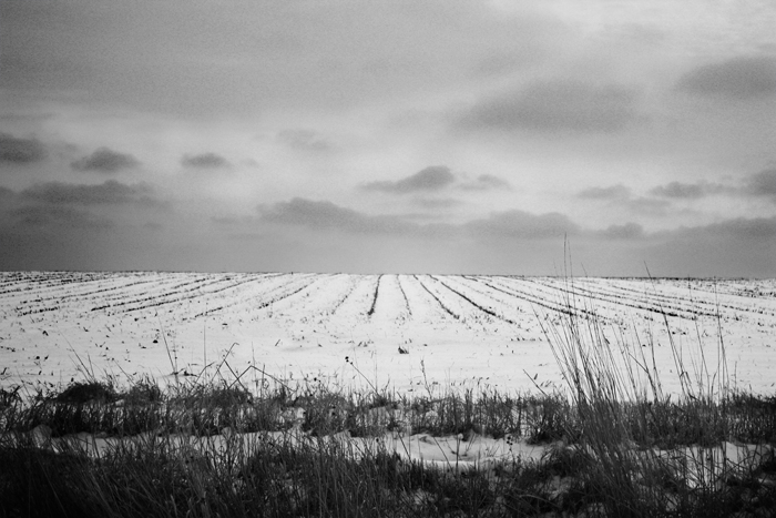 SnowField BW