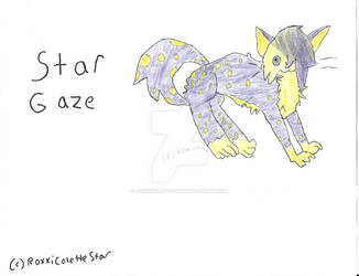 Star Gaze - Cat