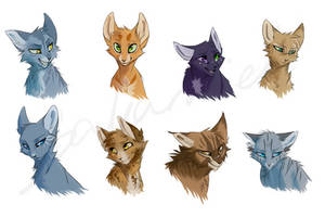 Warrior Cats Doodles