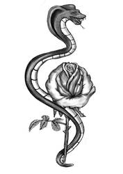 Rose and snake