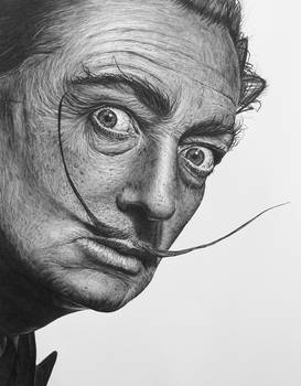 Salvador Dali II