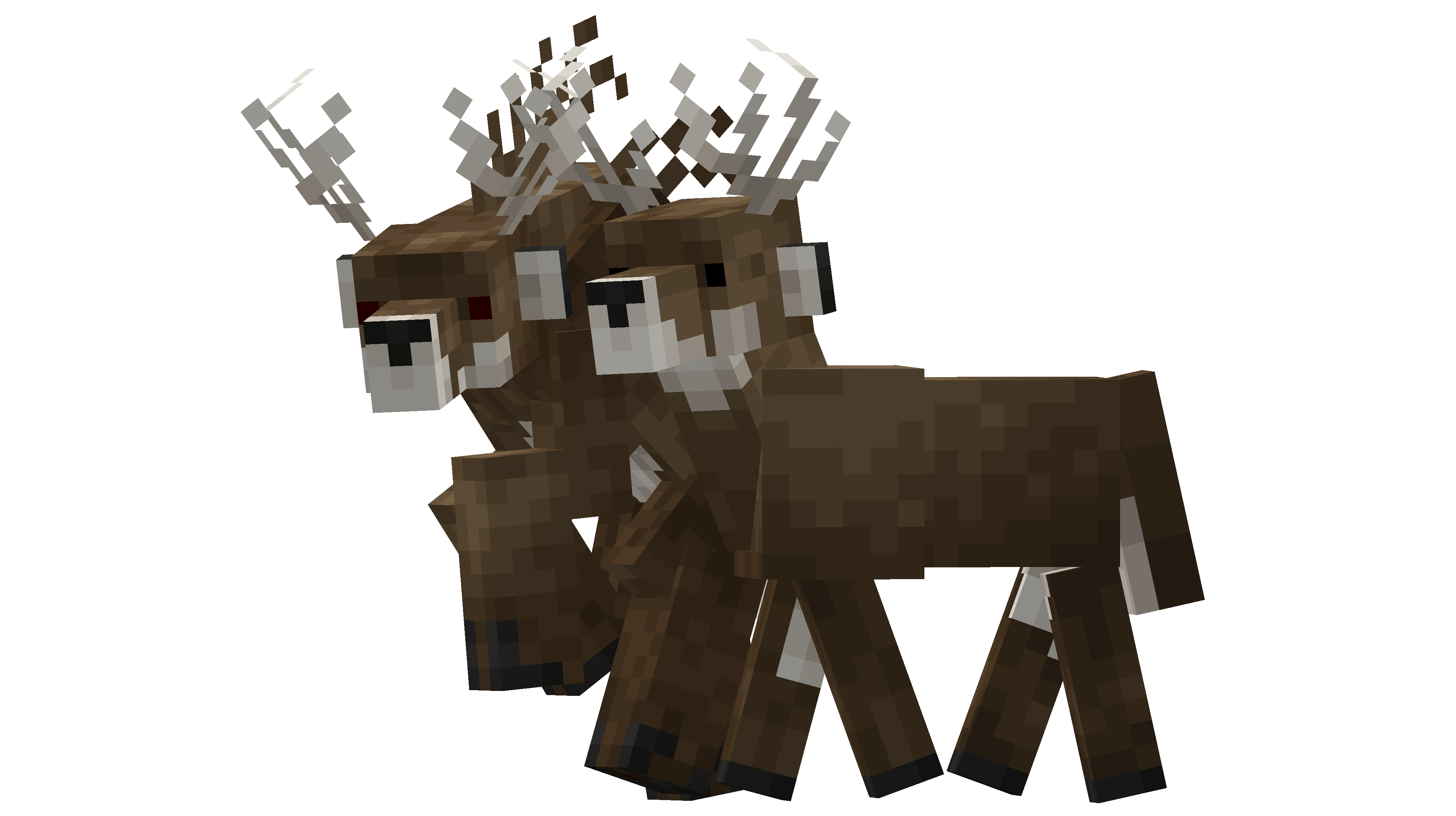 That's NOT a deer...