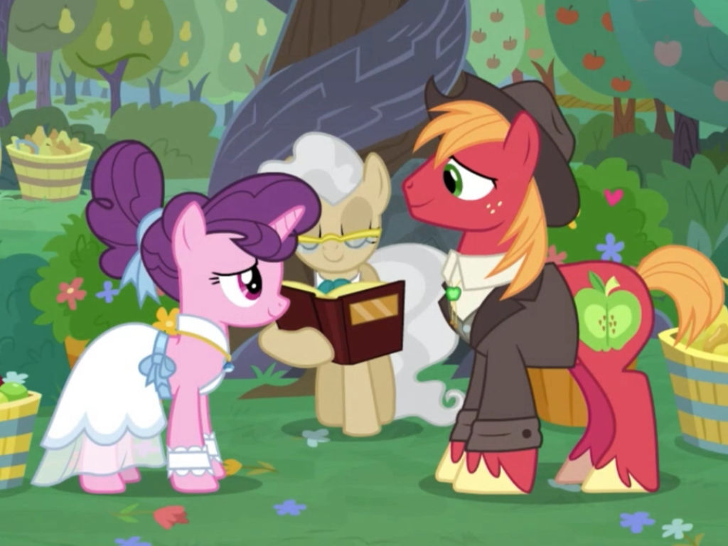 Image result for applejack big mac's wedding