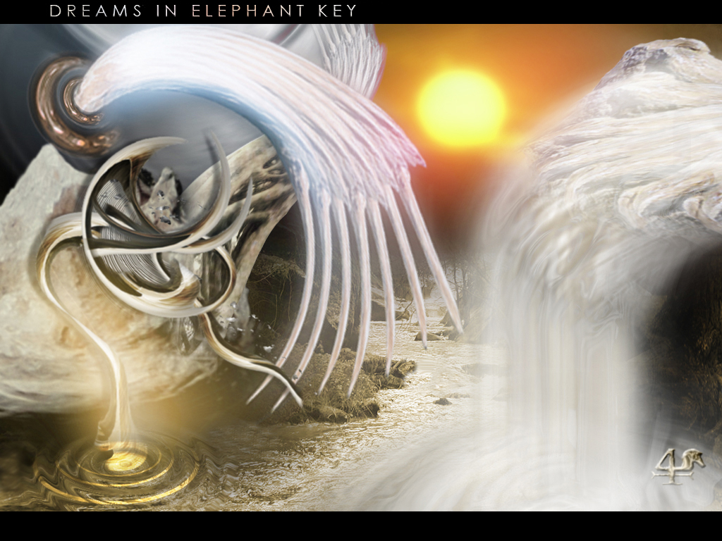 34th: Dreams in Elephant Key