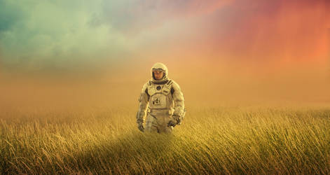 Interstellar On Mars's Grass Field