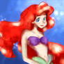 The Little Mermaid Princess