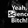 Yeah, Science Bitch!