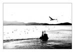 Fishing Fleet by bigcbigc