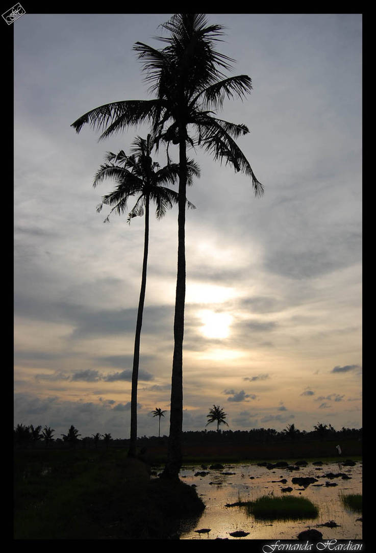 choco tree by gepenk on DeviantArt