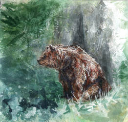 Bear by ANeDe
