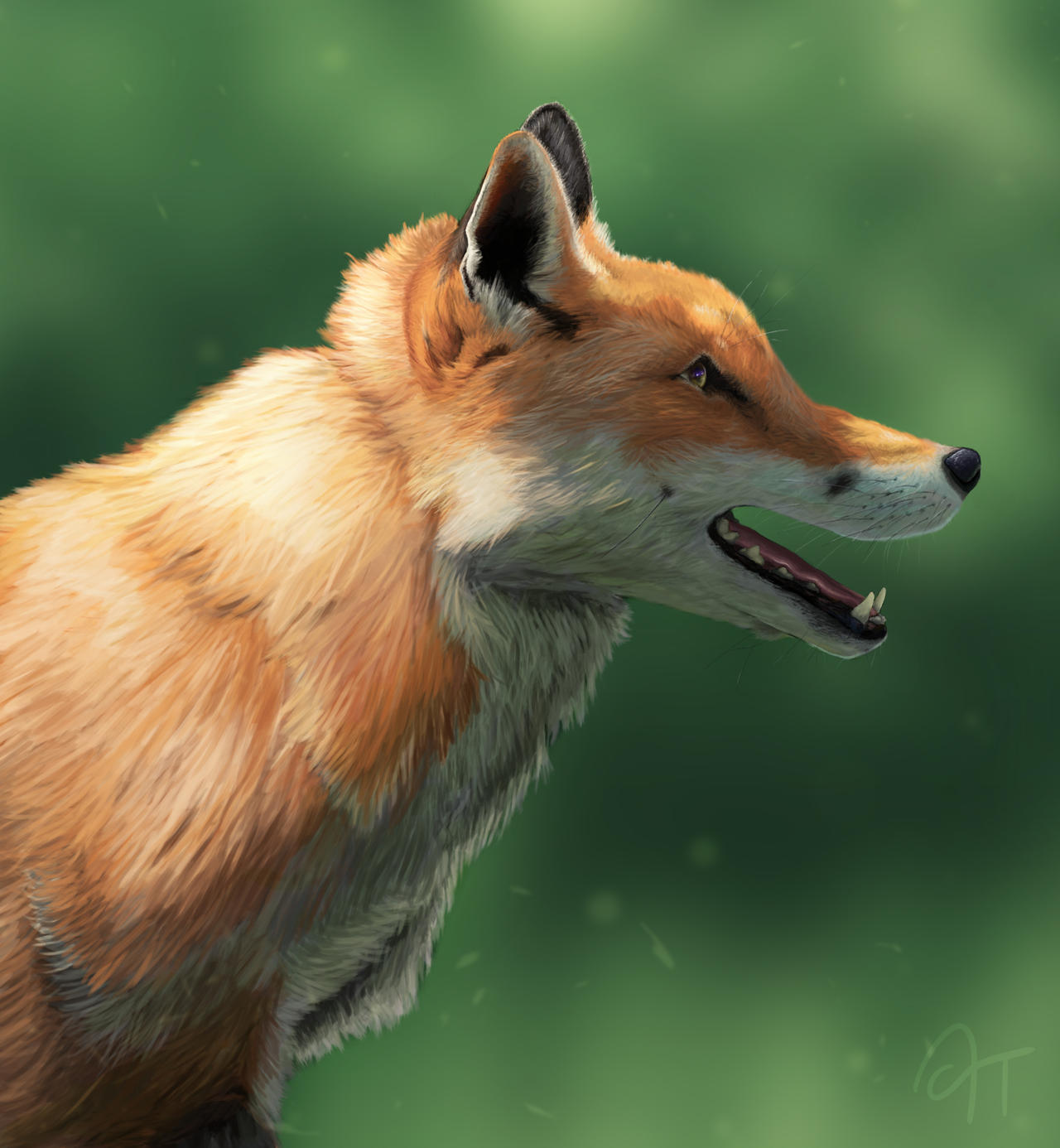 Red Fox by Nettology on DeviantArt