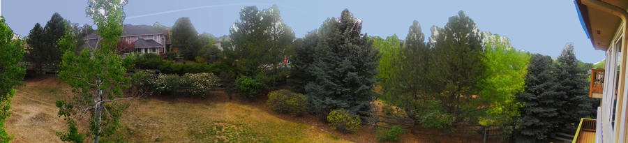 final panorama