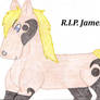 RIP James _ Contest