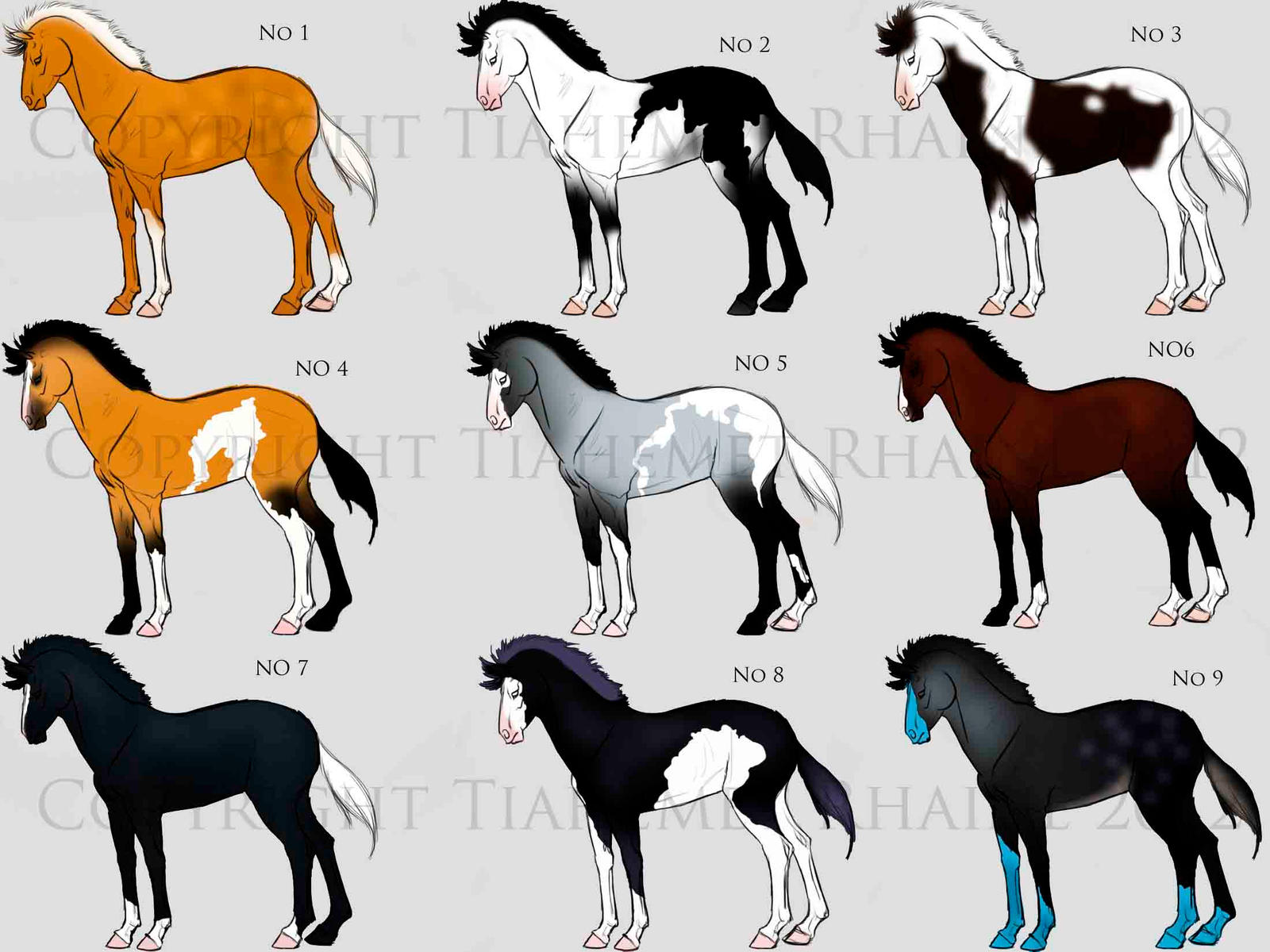 horse adopts