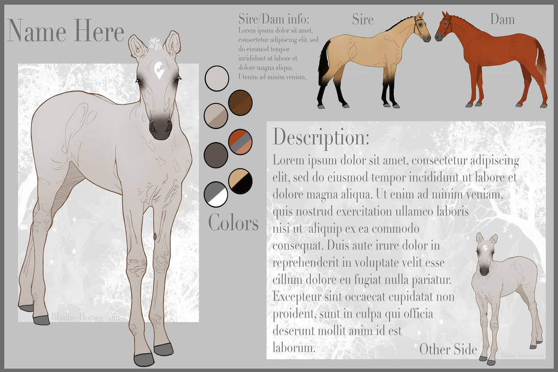 Foal Reference Sheet (YHH) by RhaineHorses on DeviantArt