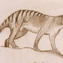 Juvenile thylacine