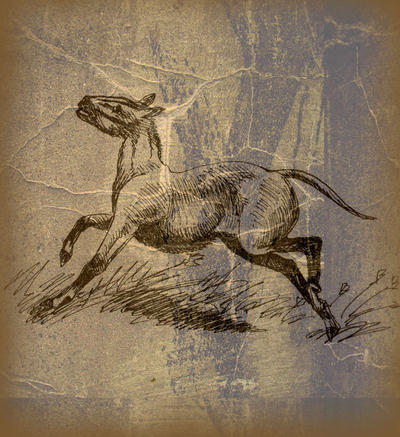 Thoatherium by jennarotancrede on DeviantArt