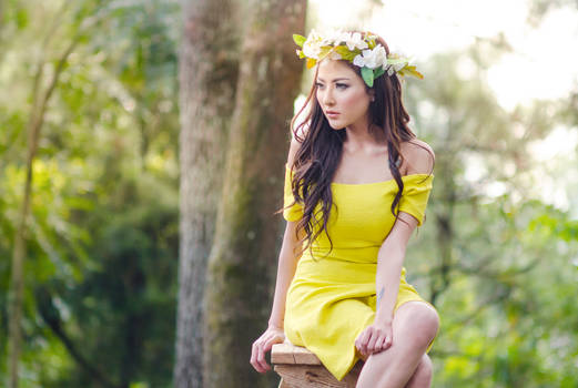 yellow fairy 2