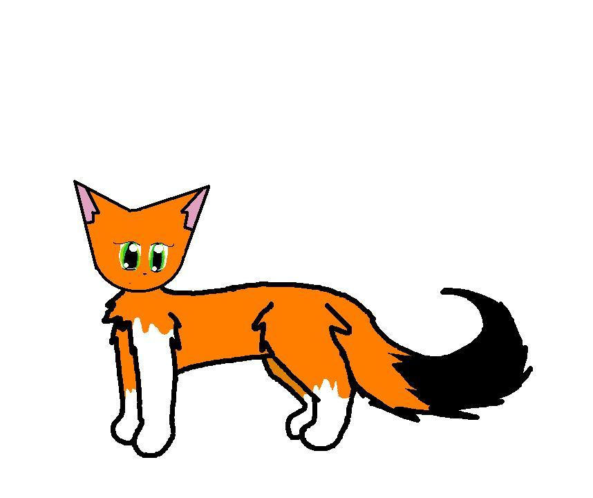 Springie Character Design by Springtalon on DeviantArt