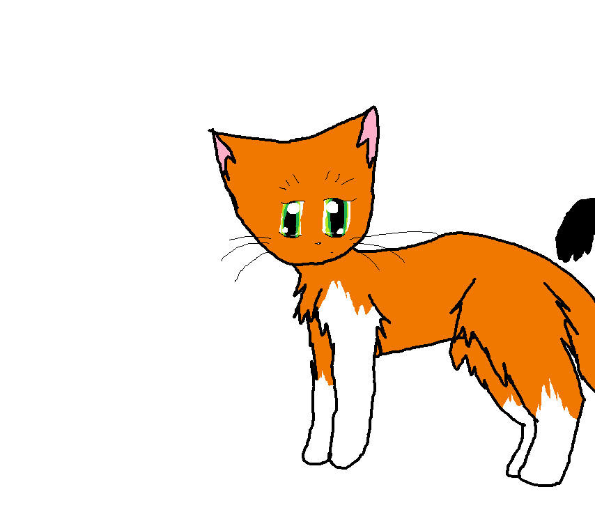 Springie Freeform by Springtalon on DeviantArt