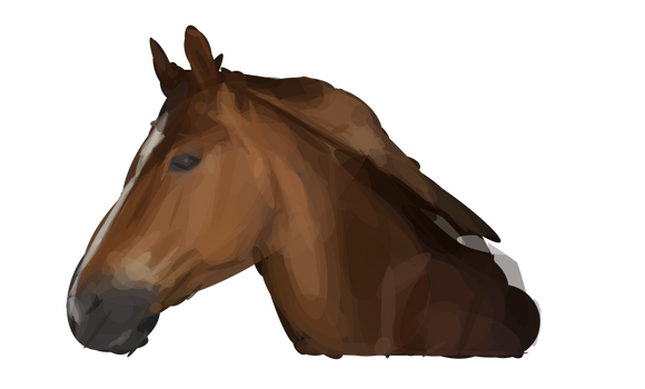 Elliptic horse