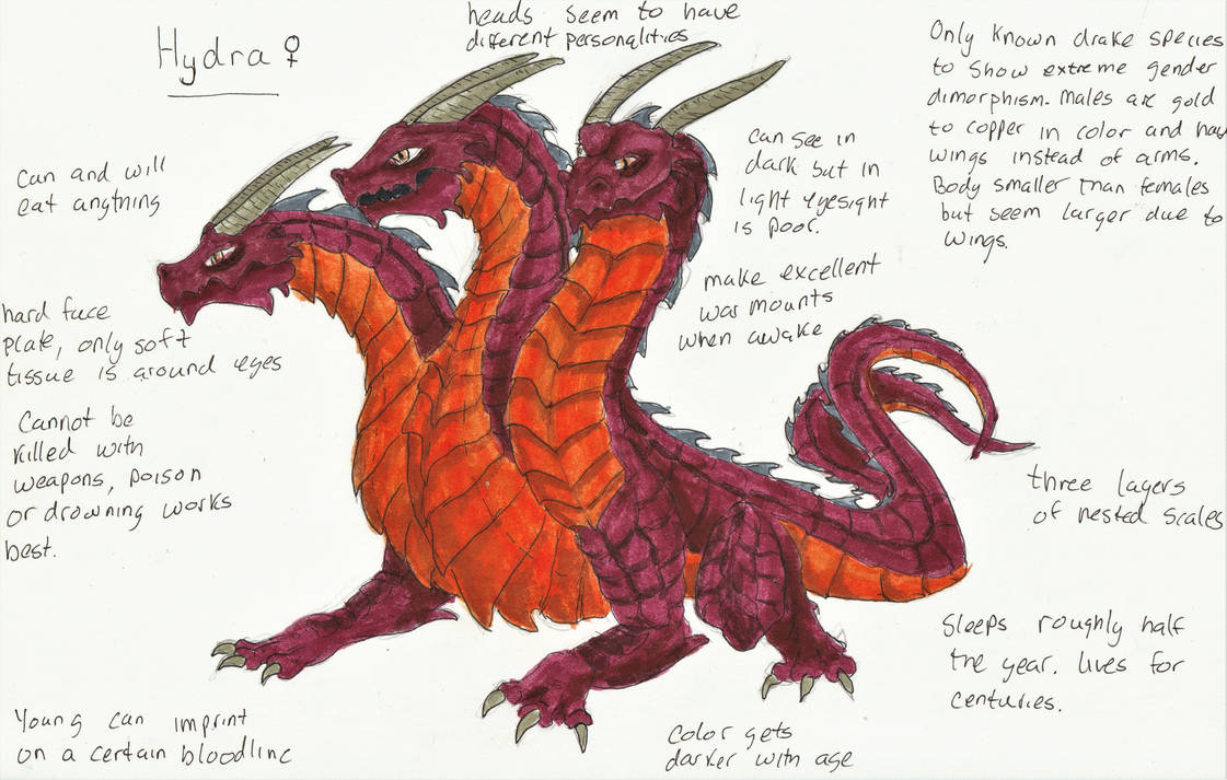 Bestiary Project: Hydra by HighQueenSelundar on DeviantArt