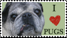 Heart Pugs Stamp