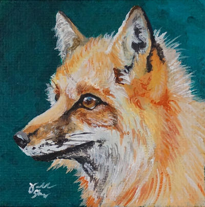 Red Fox