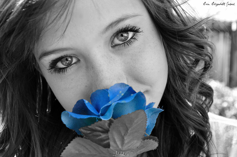 blue rose.