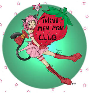 Tokyo Mew Mew Banner