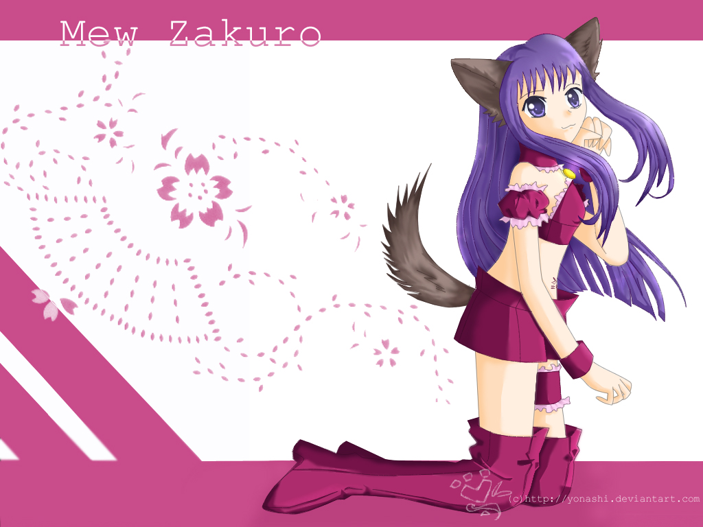 Tokyo Mew Mew New, Tokyo Mew Mew Wiki