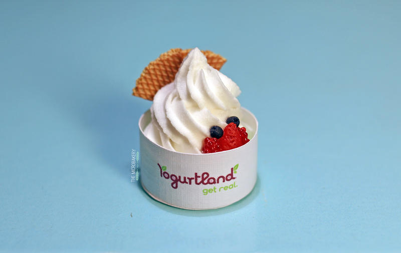 Yogurtland Inspired Frozen Yogurt 2