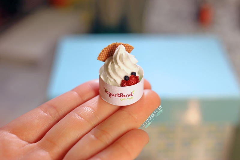 Yogurtland Inspired Frozen Yogurt 1