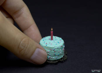 TheMicrobakery's 1st Birthday